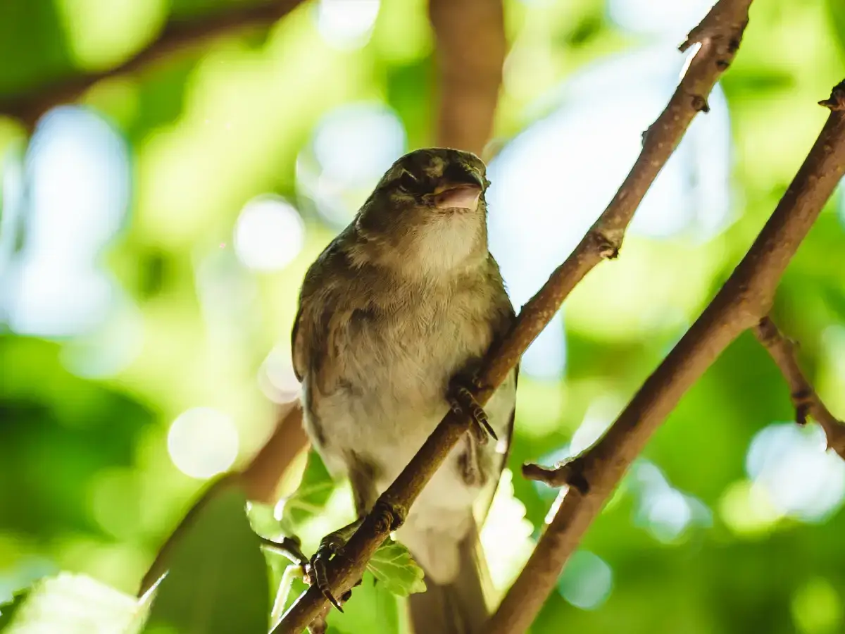 Keep an eye out for the mesmerizing wildlife